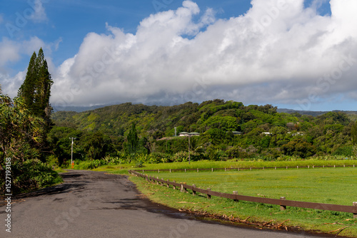 Lush green landscape with a road, fence, trees, and cloudy sky.