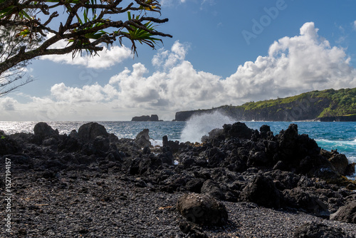 Waves crash on a rocky shore with a tree branch overhead and islands in distance.