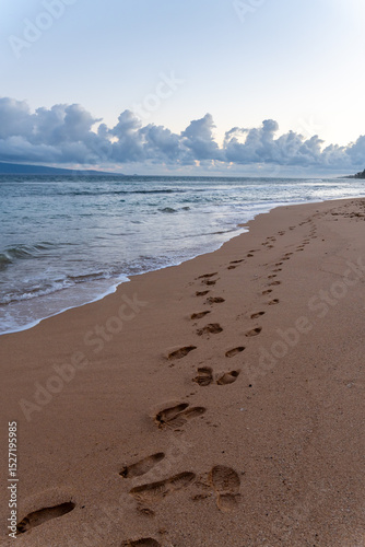 Footprints in the sand lead to the ocean under a cloudy sky.