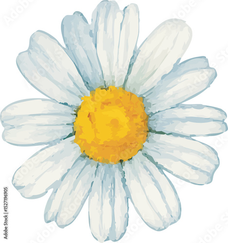 Watercolor Chamomile Flower Illustration on White Background | Generative AI