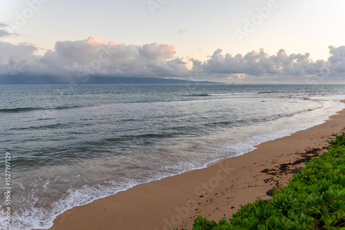 A tranquil beach scene with gentle waves, sandy shore, and lush green vegetation under a cloudy sky.