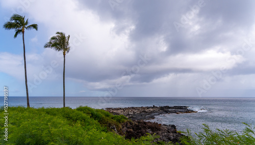 Palm trees stand tall on a rocky coast under a cloudy sky, overlooking the ocean.