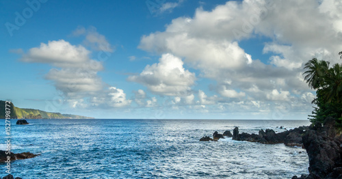 Ocean view with rocky shoreline, palm trees, and a cloudy blue sky.