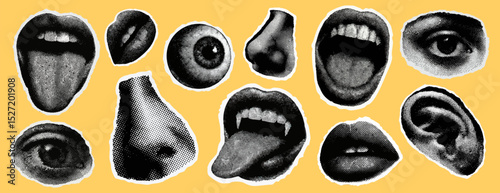 Pop art collage elements vector