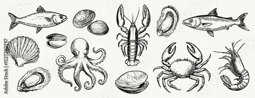 Vintage marine life illustrations, element vector set