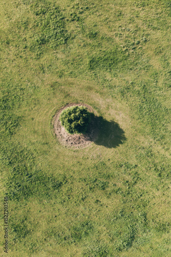 aerial view of solitary anthill on steppe grassland in ukraine under overcast sky