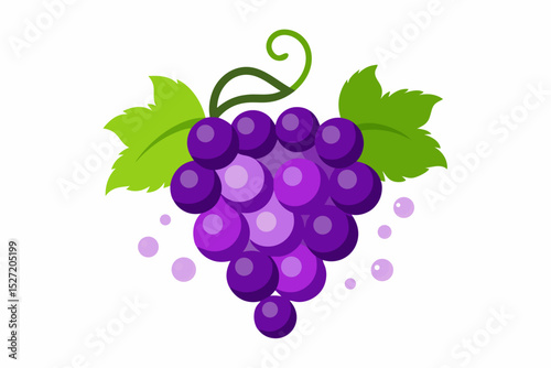purple grapes bunch with curvy stem