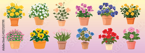Colorful potted flowers illustration, isolated vector set