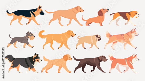 Illustrated diverse dog breeds, isolated vector set