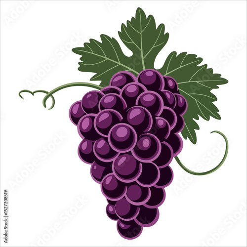 Bunch of grapes vector. Country symbol in cartoon style isolated on white.