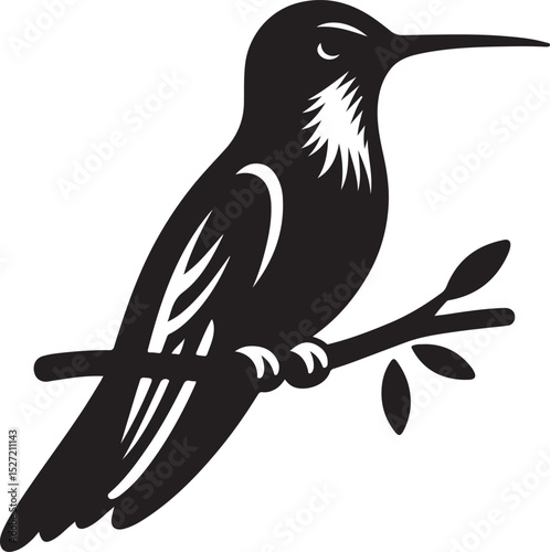 Hummingbird Black Silhouette Vector, Elegant Bird Clipart & Nature-Inspired Design
