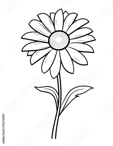 Black and White color pages for kids