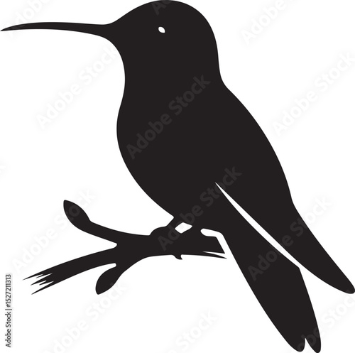 Hummingbird Black Silhouette Vector, Elegant Bird Clipart & Nature-Inspired Design
