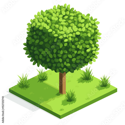 Tree illustration isometric green vector