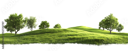 Green Hill Scenery with Trees Transparent PNG green grass on a white background
