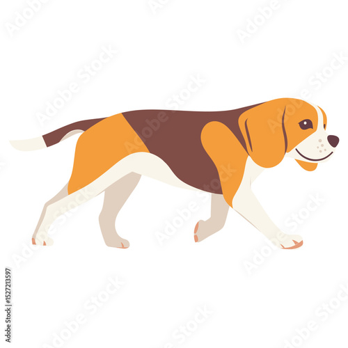 Dog Beagle walking beagle illustration animal vector