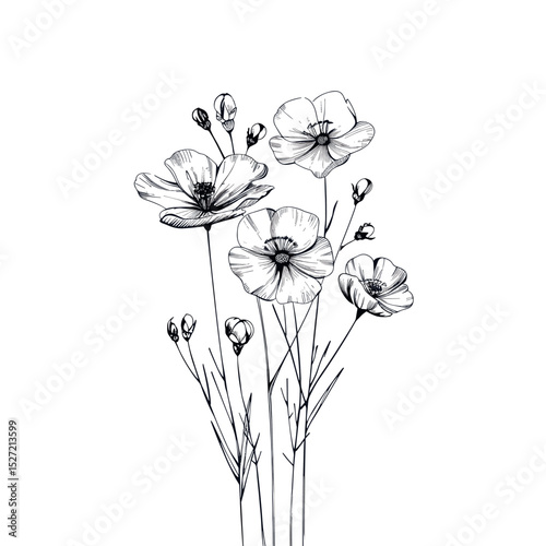 Wild flower sketch art illustration vector