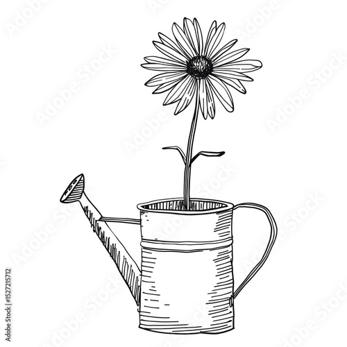 Flower in watering can drawing white art vector