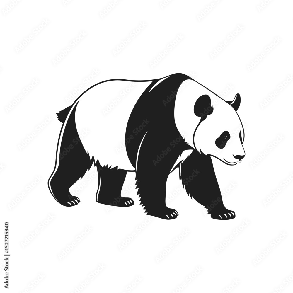Obraz premium Bear Illustrator art work