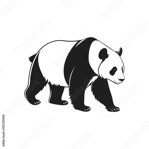 Bear Illustrator art work