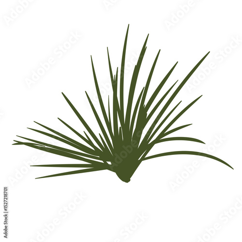 Flat illustration of sharp desert grass with long thin blades, ideal for dryland, wild environment, or survival-themed graphic elements.