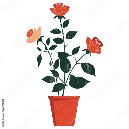 Rose flowers roses illustration botanical vector