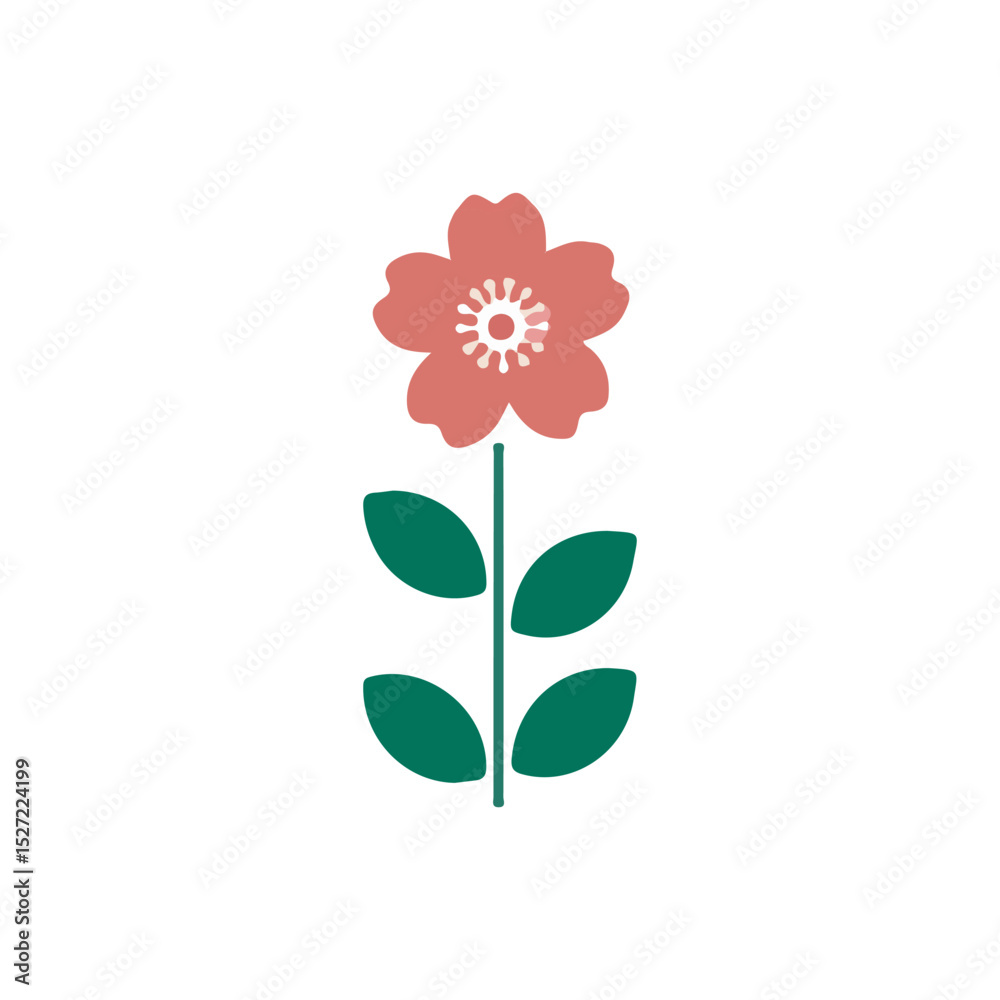 red flower isolated on white background red flower isolated on white background
