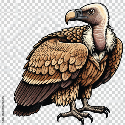 vector illustration of a griffon vulture on a branch