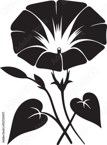 Morning Glory Flower Black Silhouette Vector, Elegant Botanical Clipart & Floral Design
