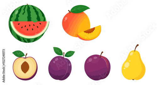 Illustration of fresh fruits watermelon peach pineapple plum pear healthy food summer diet nutrition