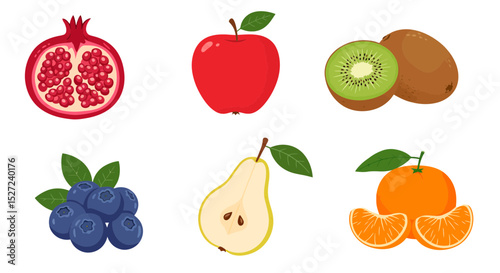 Fresh healthy fruits vector illustration pomegranate apple kiwi blueberry pear and orange design