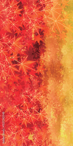 紅葉　もみじ　秋　背景	