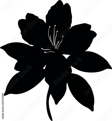 Elegant Azalea Flower Silhouette with Detailed Stamens and Petal Shapes