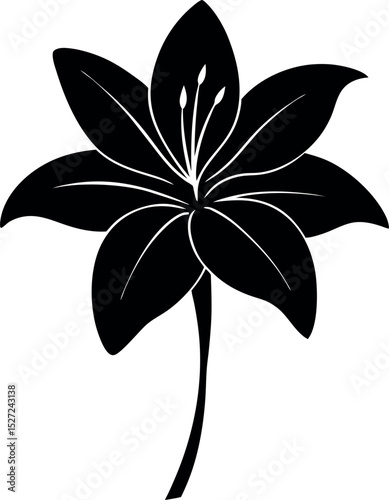 Elegant Black and White Lily Flower Illustration for Design Projects