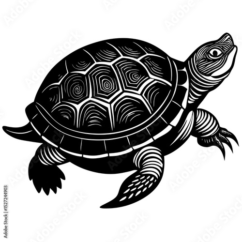 turtle vector illustration
