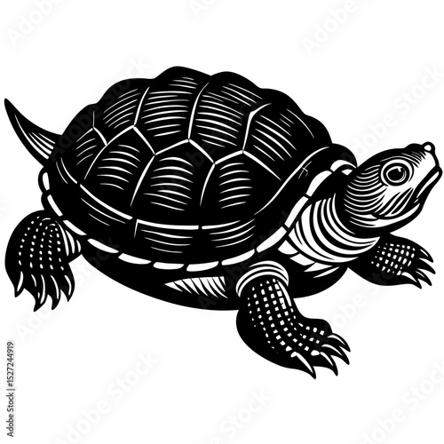 turtle vector illustration