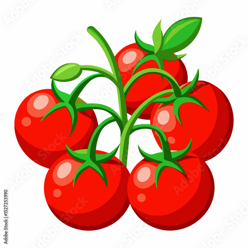 tomato with leaves
