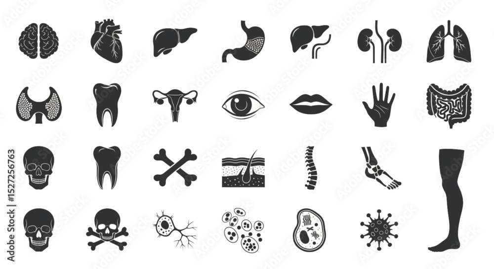 Obraz premium Comprehensive Collection of Human Anatomy Icons and Organ Illustrations for Medical Educational Resources and Visual Presentations