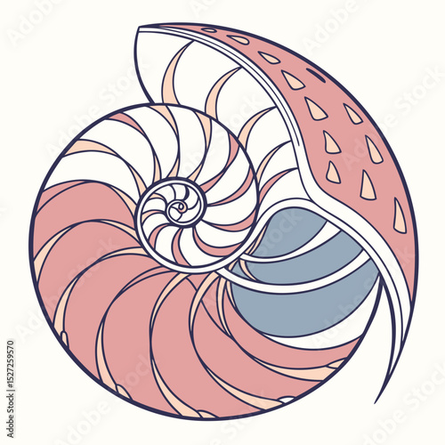 Nautilus Shell A Stunning Illustration of the Golden Spiral, Nature's Perfect Geometry