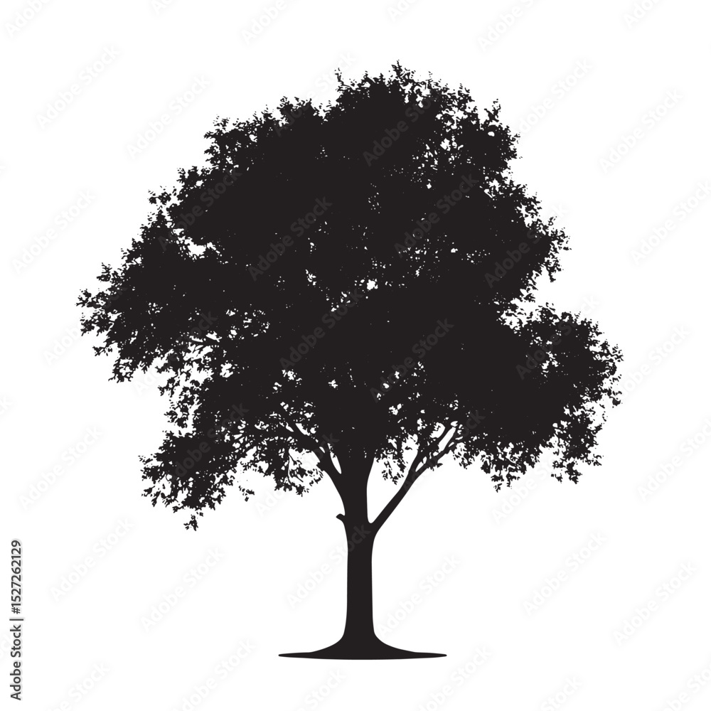 Fototapeta premium Hand Sketched Alder Tree in Silhouette