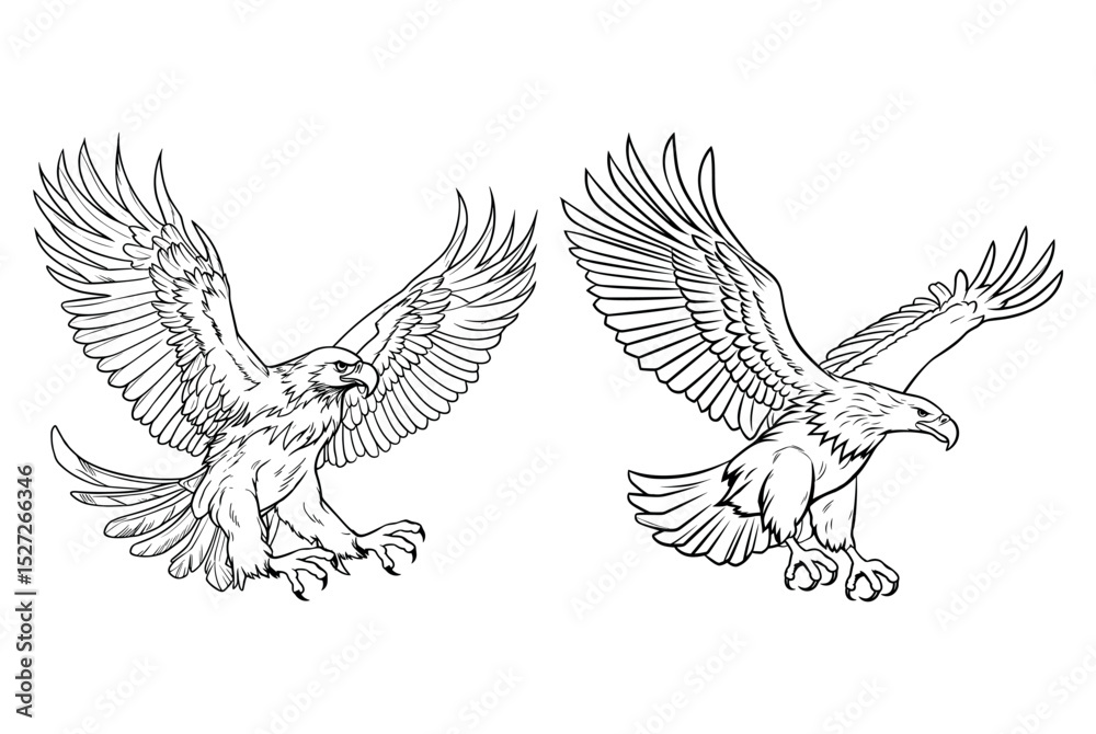 Fototapeta premium Eagle silhouette set vector design