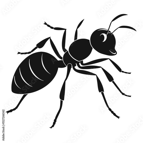 Silhouette of a detailed ant insect illustration in simple black and white design