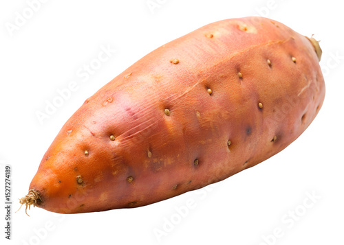 sweet potato clipart png image on transparent background photo