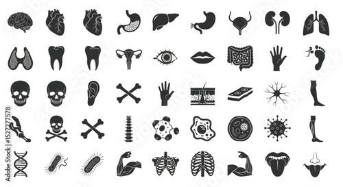 Comprehensive Collection of Human Anatomy Icons A Visual Guide to Understanding the Body Systems and Structures in Detail