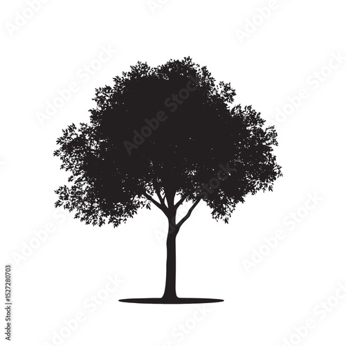 Handcrafted Alder Tree Silhouette Image