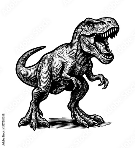Roaring Tyrannosaurus Rex in Detailed Black and White Engraving Style Illustration