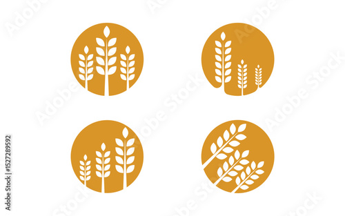 Farm Agriculture wheat rice vector illustration design v.3