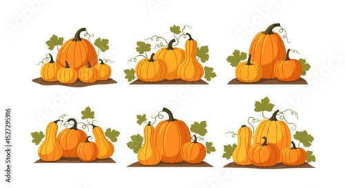Various pumpkin patch arrangements with different sizes and shapes on white background design vector
