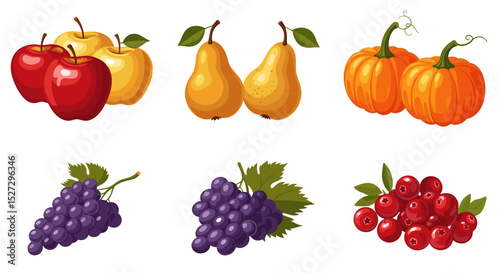 Illustration of apples pears pumpkins grapes and cranberries arranged in a neat and orderly manner