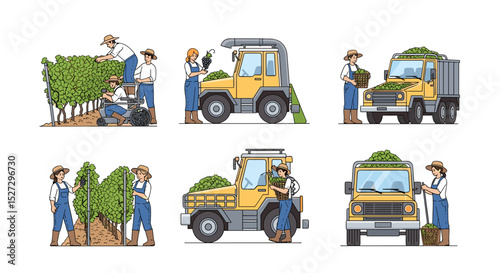 Illustration showing vineyard workers harvesting grapes with machinery and manual labor techniques outdoors